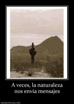 A veces, la naturaleza nos envía mensajes