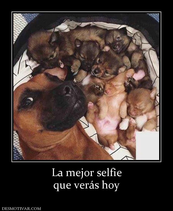 La mejor selfie que verás hoy