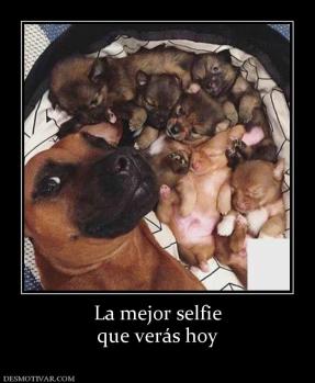 La mejor selfie que verás hoy