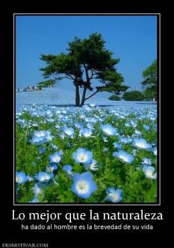 Lo mejor que la naturaleza ha dado al hombre es la brevedad de su vida