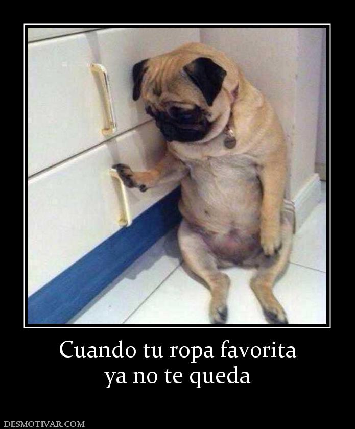 Cuando tu ropa favorita ya no te queda