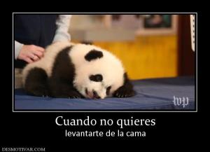 Cuando no quieres levantarte de la cama