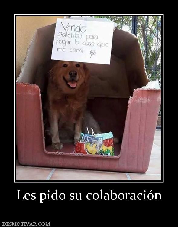 Les pido su colaboración
