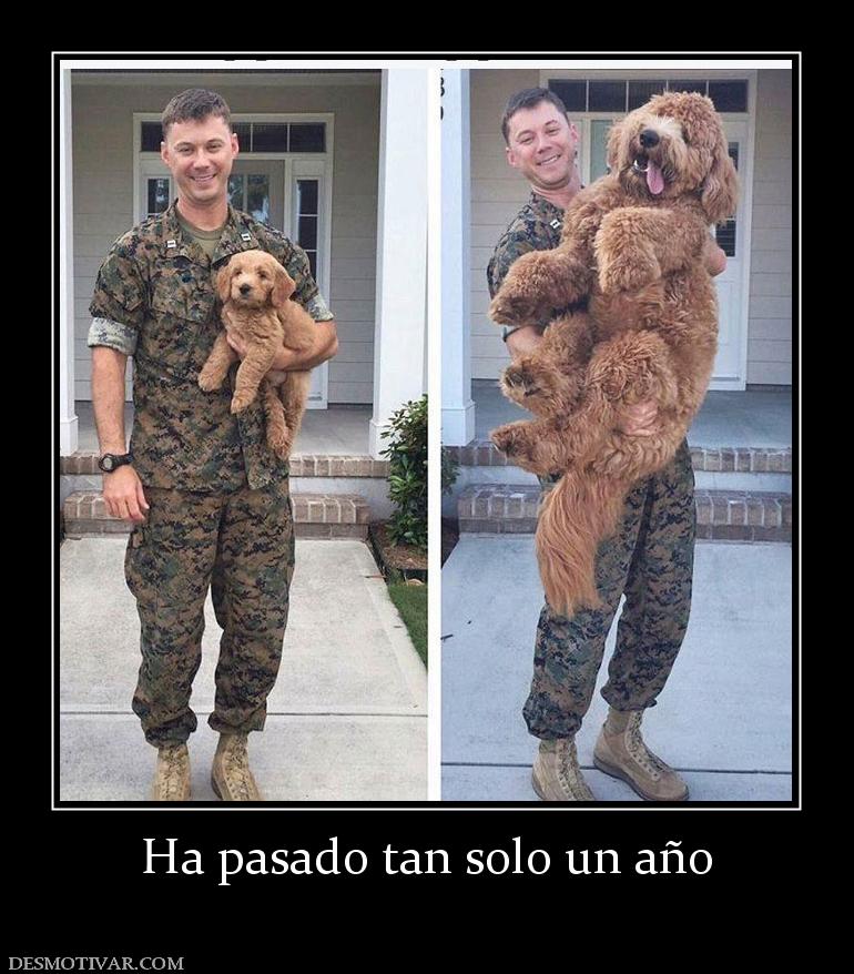 Ha pasado tan solo un año