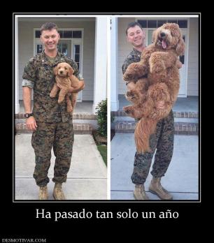 Ha pasado tan solo un año