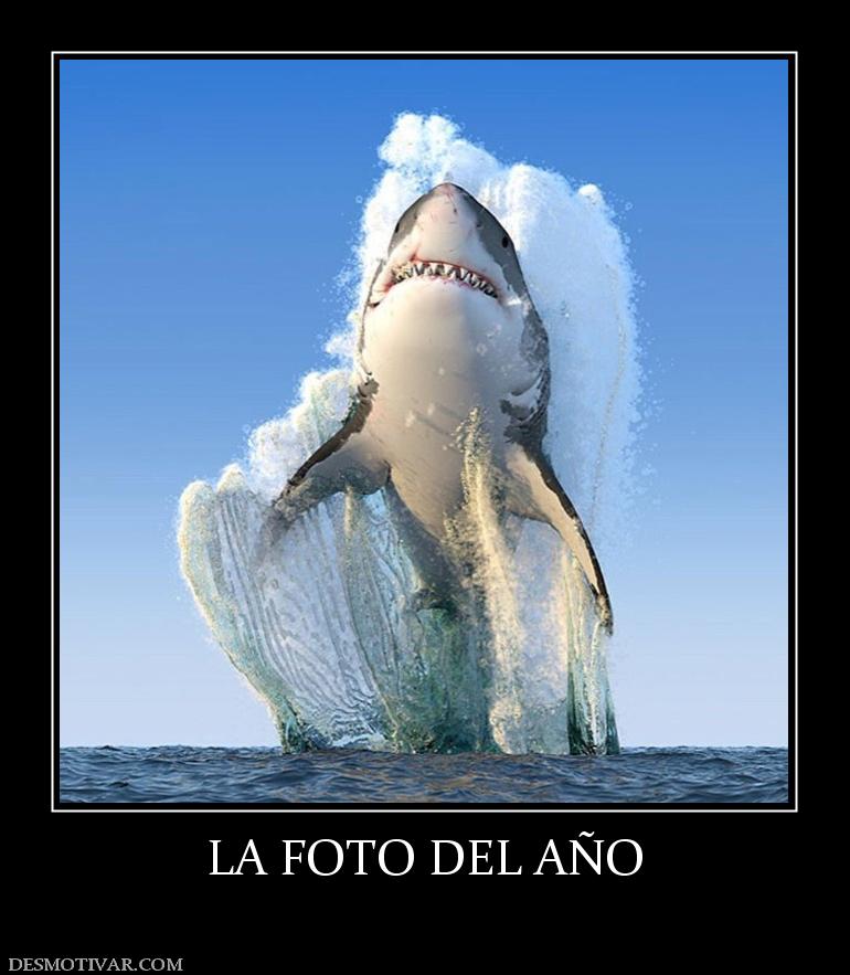 LA FOTO DEL AÑO