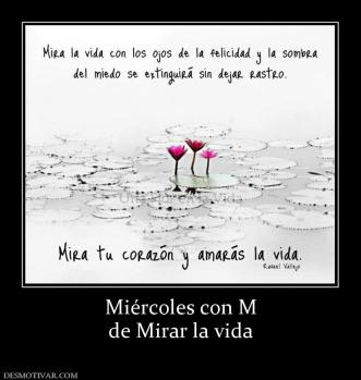 Miércoles con M de Mirar la vida