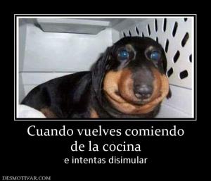 Cuando vuelves comiendo de la cocina  e intentas disimular