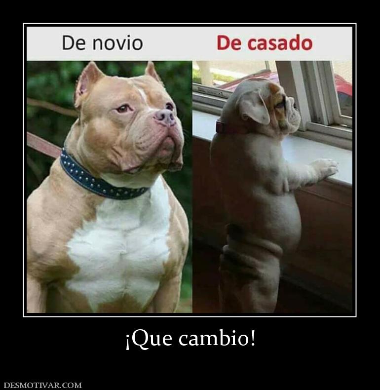 ¡Que cambio!