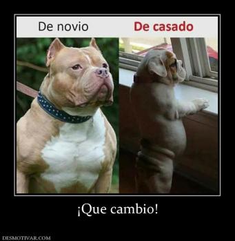¡Que cambio!