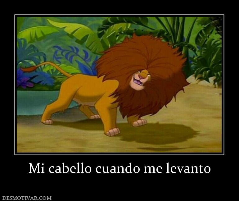 Mi cabello cuando me levanto