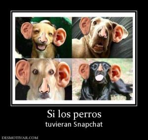 Si los perros tuvieran Snapchat