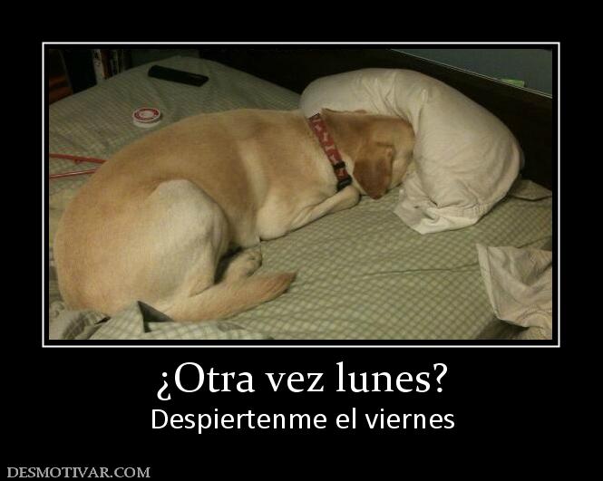 ¿Otra vez lunes? Despiertenme el viernes