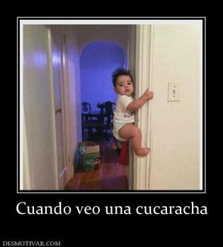 Cuando veo una cucaracha