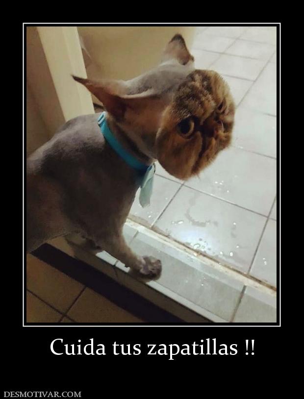 Cuida tus zapatillas !!