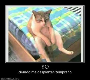 YO cuando me despiertan temprano