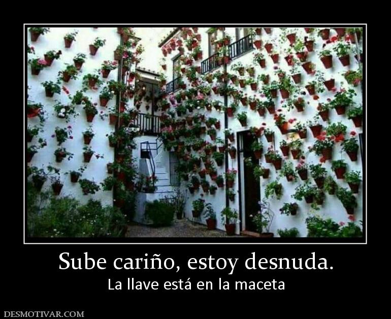 Sube cariño, estoy desnuda. La llave está en la maceta