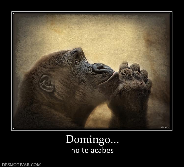 Domingo... no te acabes