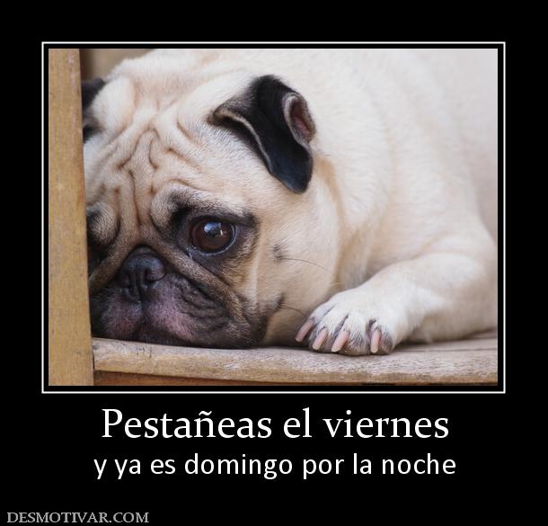 Pestañeas el viernes y ya es domingo por la noche