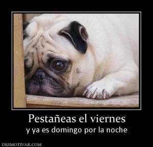 Pestañeas el viernes y ya es domingo por la noche