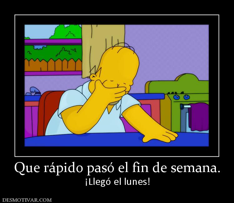 Que rápido pasó el fin de semana. ¡Llegó el lunes!