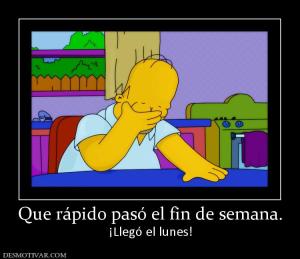 Que rápido pasó el fin de semana. ¡Llegó el lunes!