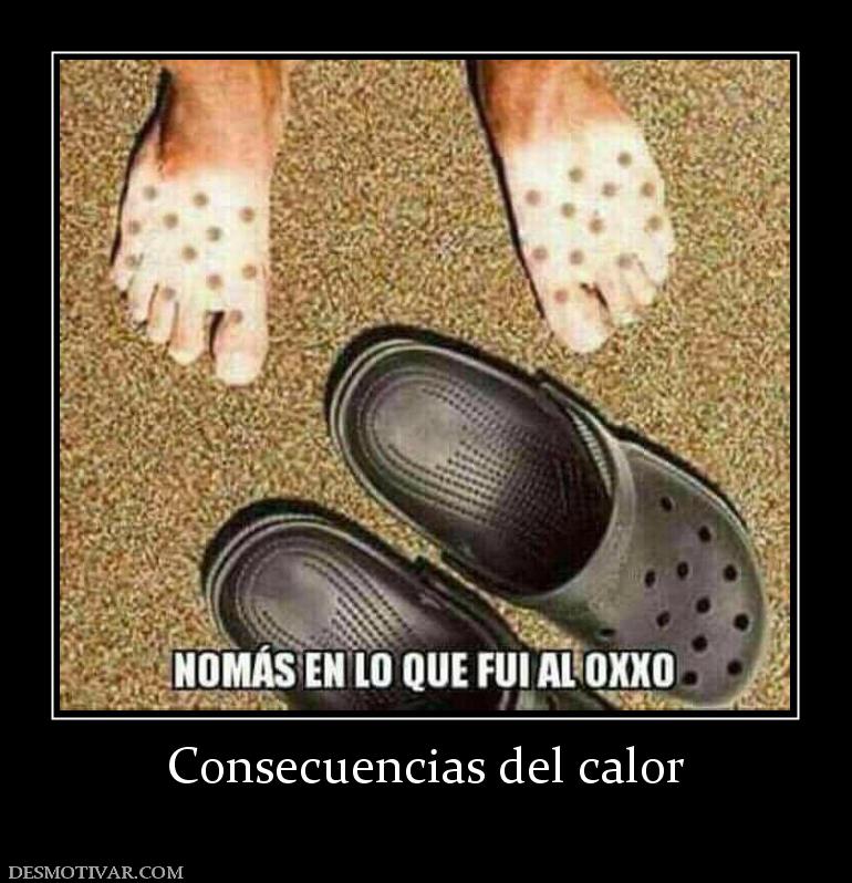 Consecuencias del calor
