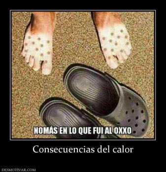 Consecuencias del calor