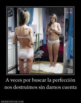A veces por buscar la perfección nos destruimos sin darnos cuenta