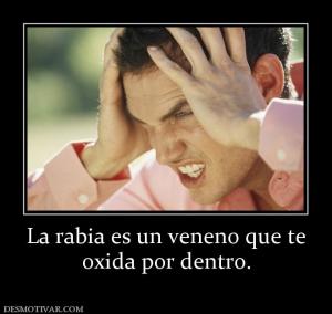 La rabia es un veneno que te oxida por dentro.