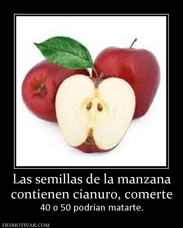 Las semillas de la manzana contienen cianuro, comerte 40 o 50 podrían matarte.