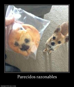 Parecidos razonables