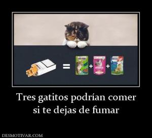 Tres gatitos podrían comer si te dejas de fumar