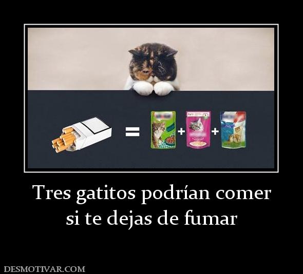 Tres gatitos podrían comer si te dejas de fumar