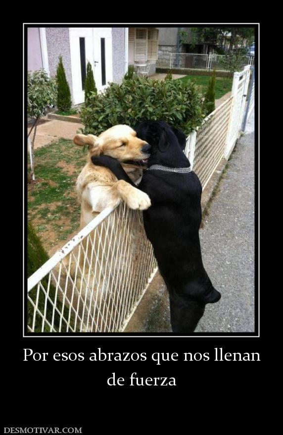 Por esos abrazos que nos llenan de fuerza