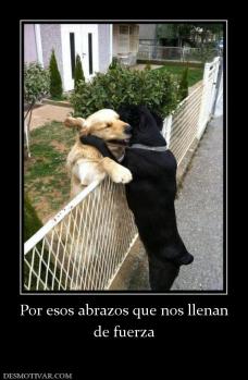Por esos abrazos que nos llenan de fuerza