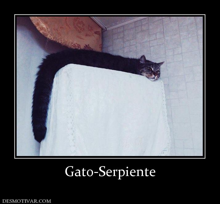 Gato-Serpiente