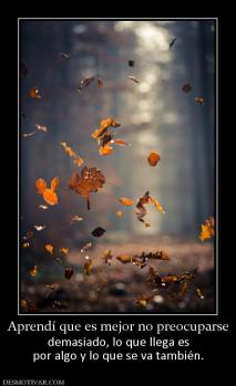 Aprendí que es mejor no preocuparse demasiado, lo que llega es por algo y lo que se va también.