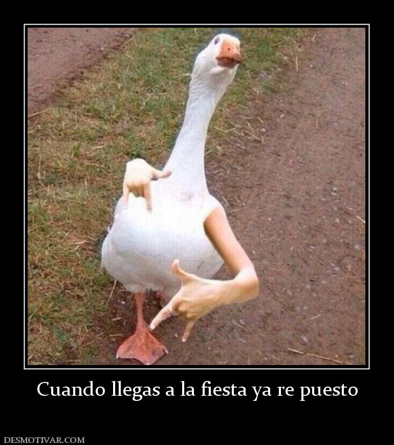 Cuando llegas a la fiesta ya re puesto