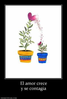 El amor crece y se contagia