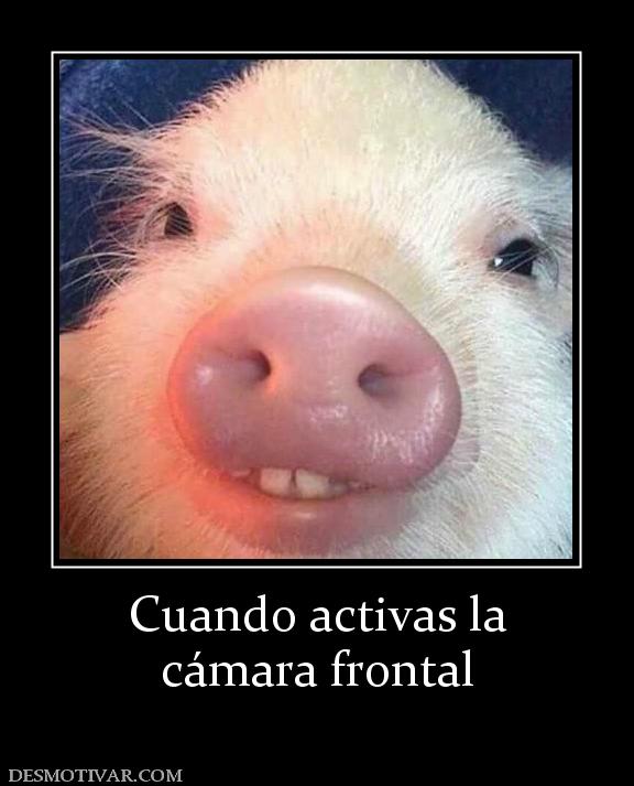 Cuando activas la cámara frontal