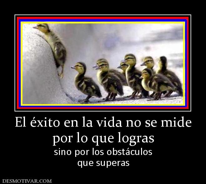 El éxito en la vida no se mide por lo que logras  sino por los obstáculos que superas