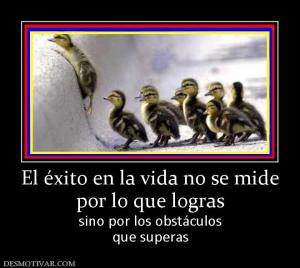 El éxito en la vida no se mide por lo que logras  sino por los obstáculos que superas
