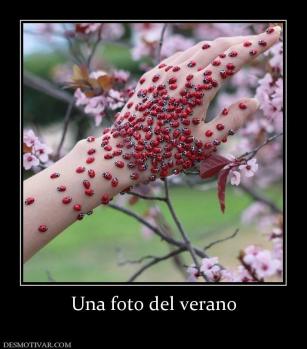 Una foto del verano