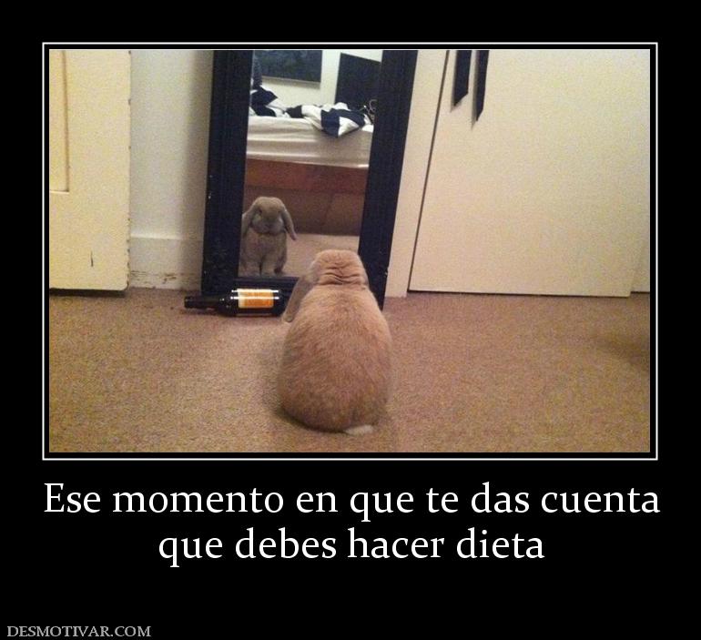 Ese momento en que te das cuenta que debes hacer dieta