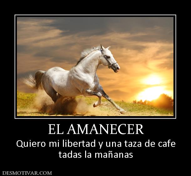 EL AMANECER Quiero mi libertad y una taza de cafe tadas la mañanas