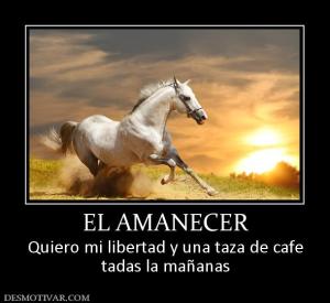 EL AMANECER Quiero mi libertad y una taza de cafe tadas la mañanas