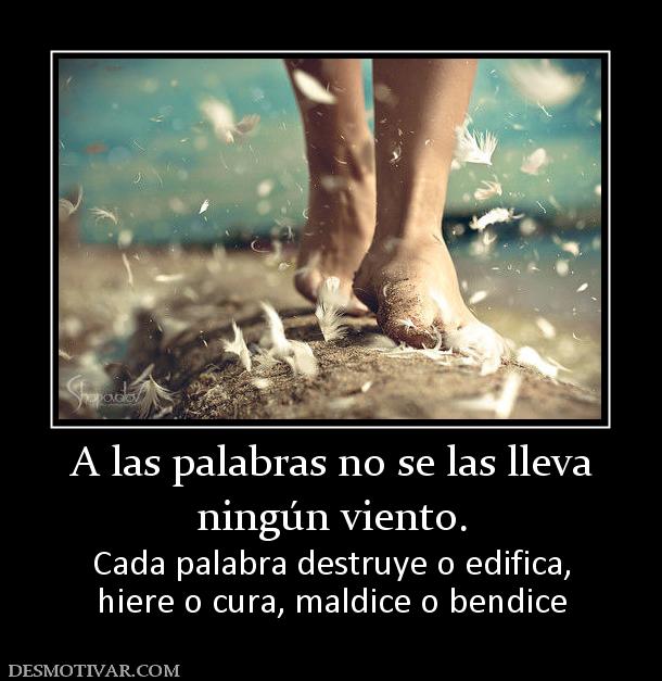 A las palabras no se las lleva ningún viento. Cada palabra destruye o edifica, hiere o cura, maldice o bendice