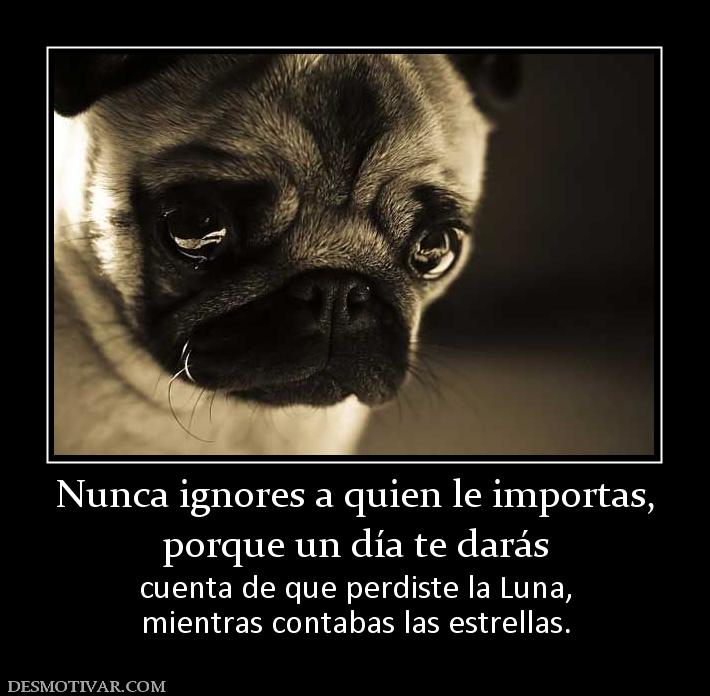 Nunca ignores a quien le importas, porque un día te darás cuenta de que perdiste la Luna, mientras contabas las estrellas.