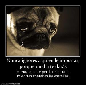 Nunca ignores a quien le importas, porque un día te darás cuenta de que perdiste la Luna, mientras contabas las estrellas.